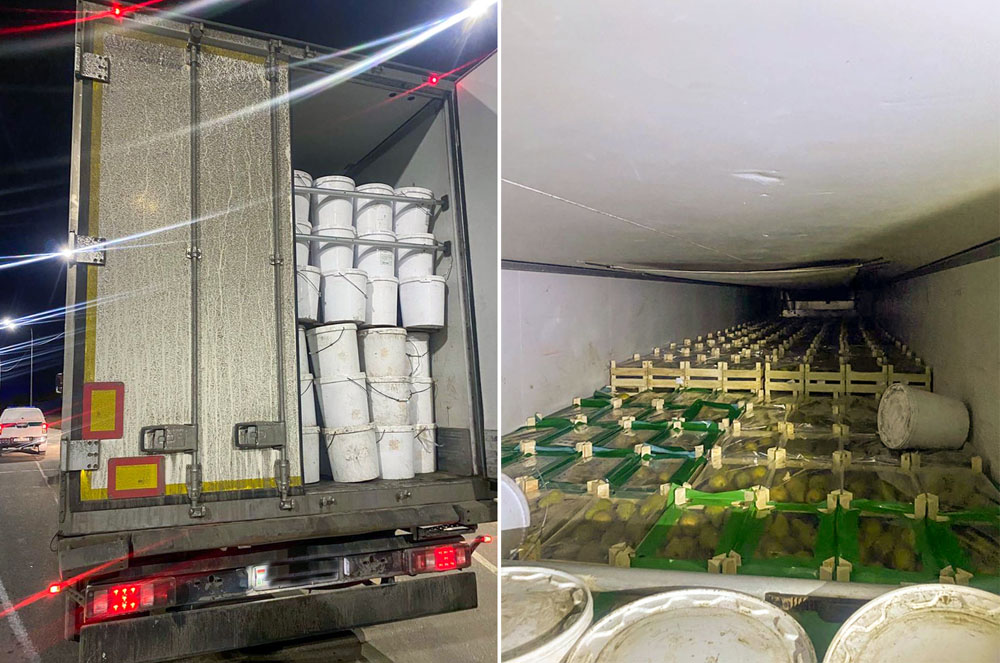 Брянские таможенники выявили 20 тонн груш, перевозимых под видом капусты
