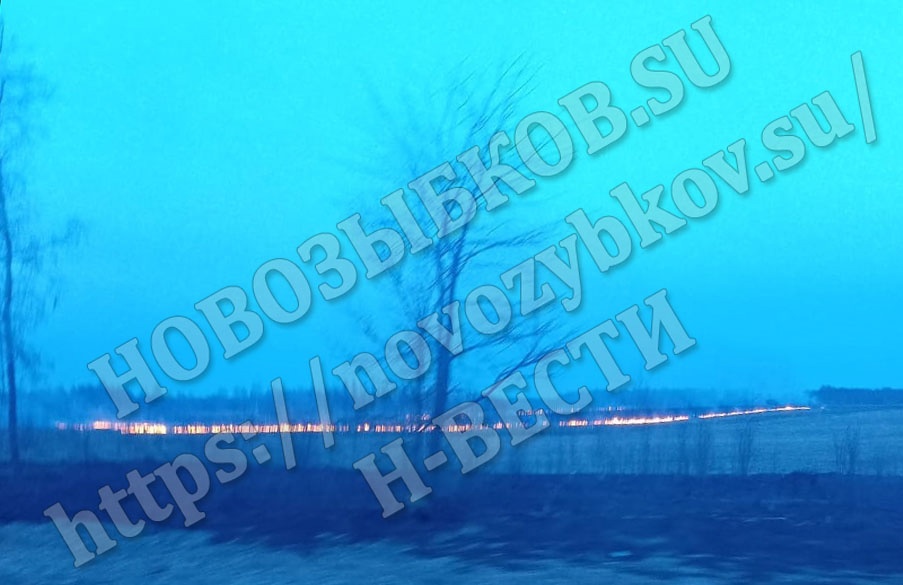 В Новозыбкове горела сухая трава в районе Людково