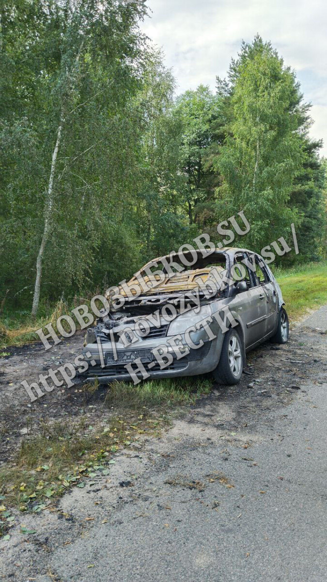 За сутки в Новозыбковском районе сгорели два автомобиля