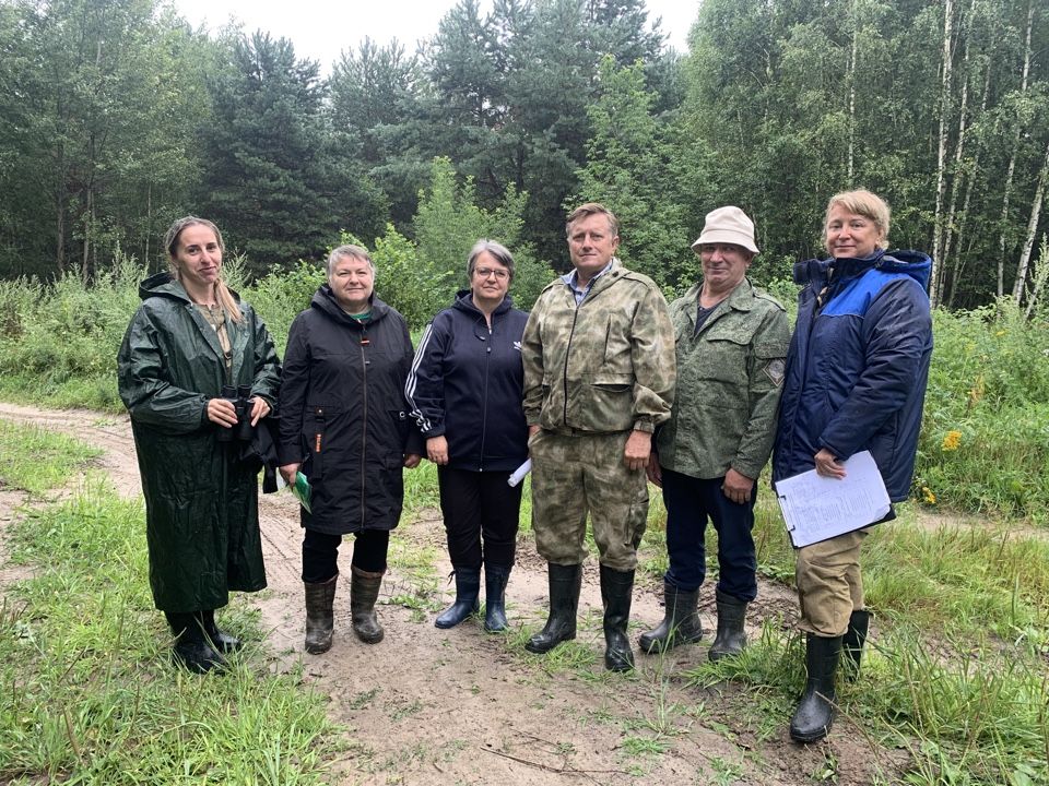 Урожай семян сосны в Брянской области будет близок к нулевому результату