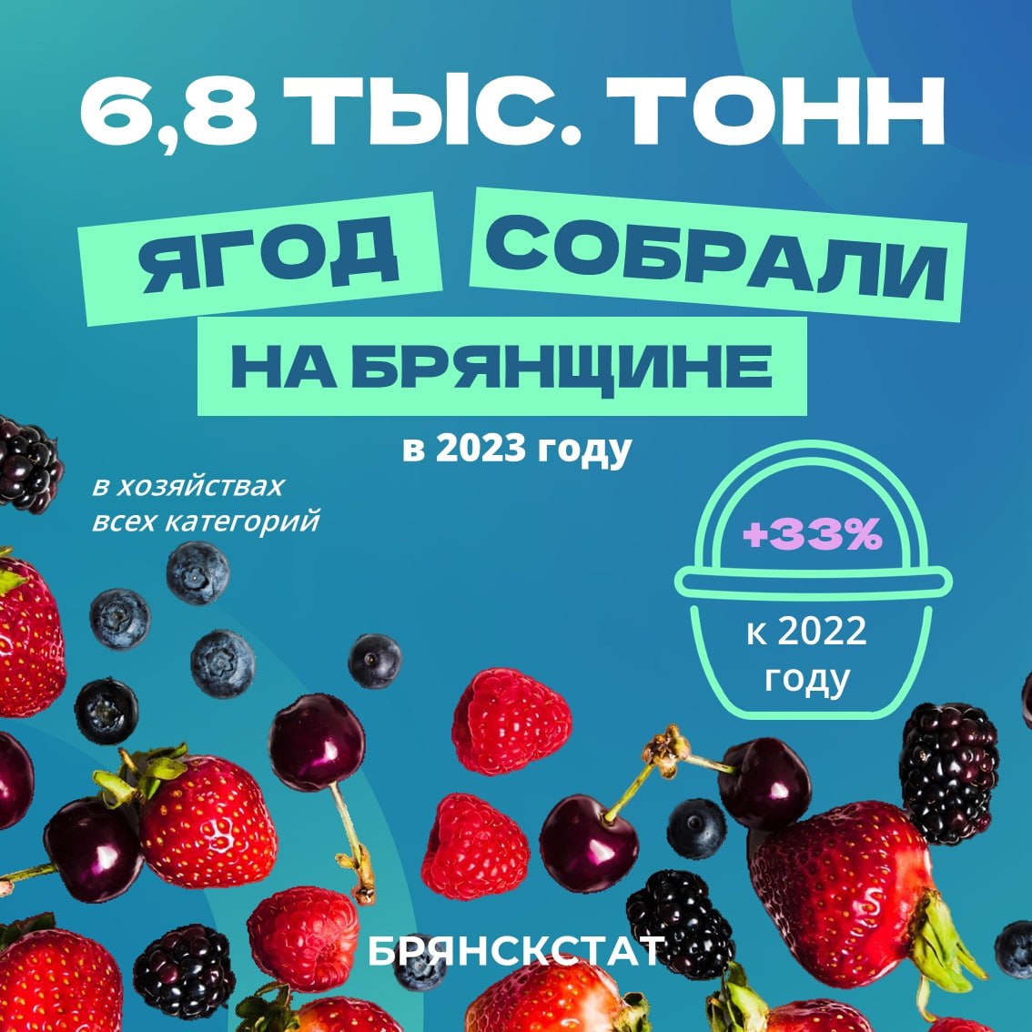 Аграрии Брянска и Клетни лидируют по сбору плодово-ягодной продукции