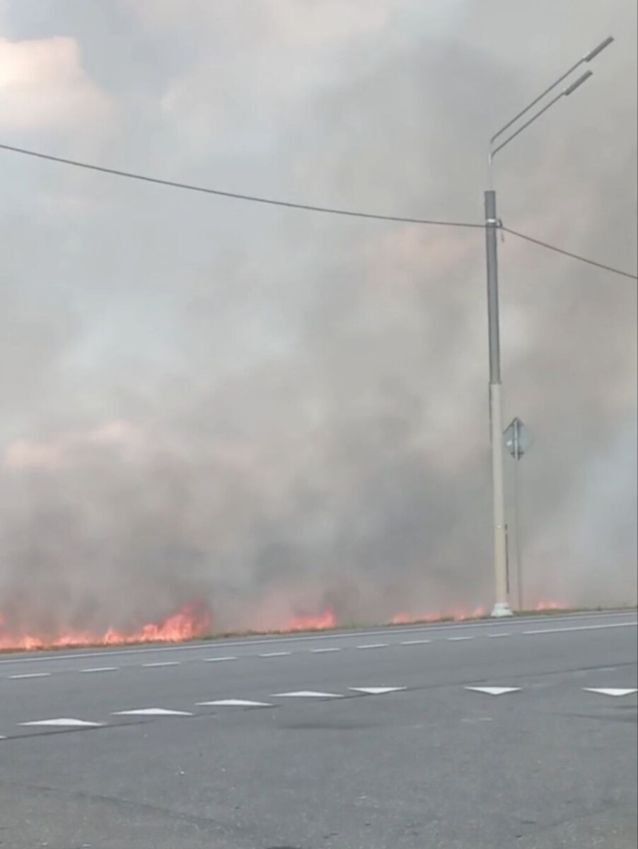 Сто квадратных метров жнивья выгорело на поле под Новозыбковом