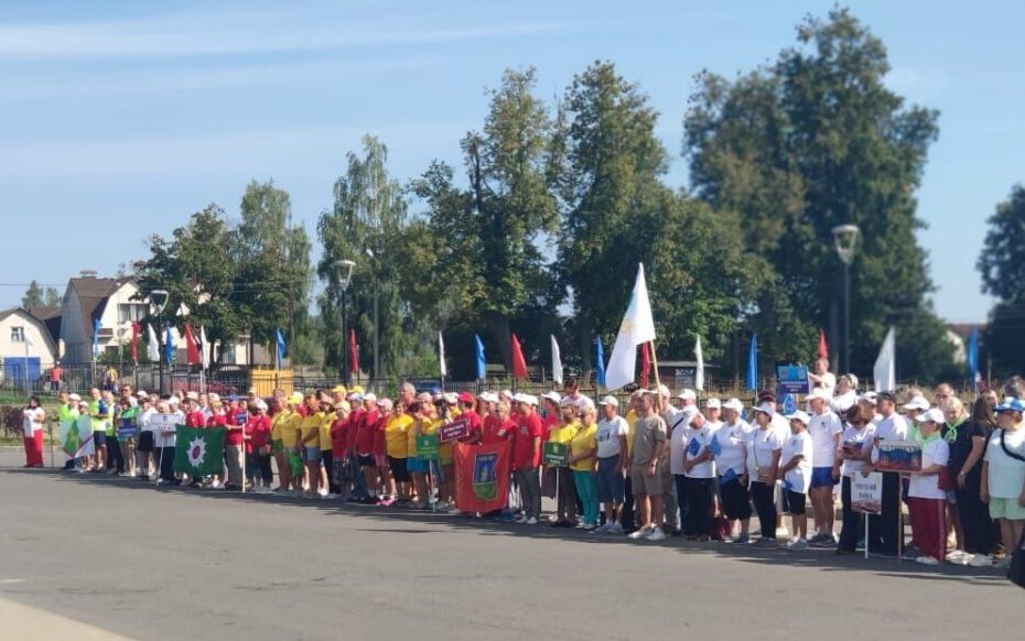 Победителями регионального этапа Спартакиады пенсионеров стали спортсмены из Дятьково, Трубчевска и Новозыбкова