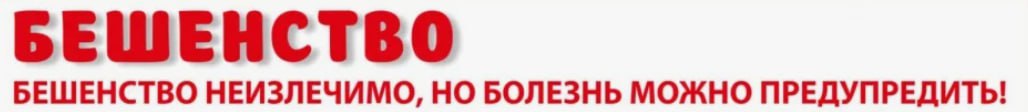 Последний случай заболевания бешенством у людей на территории Брянской области зафиксирован порядка 15 лет назад