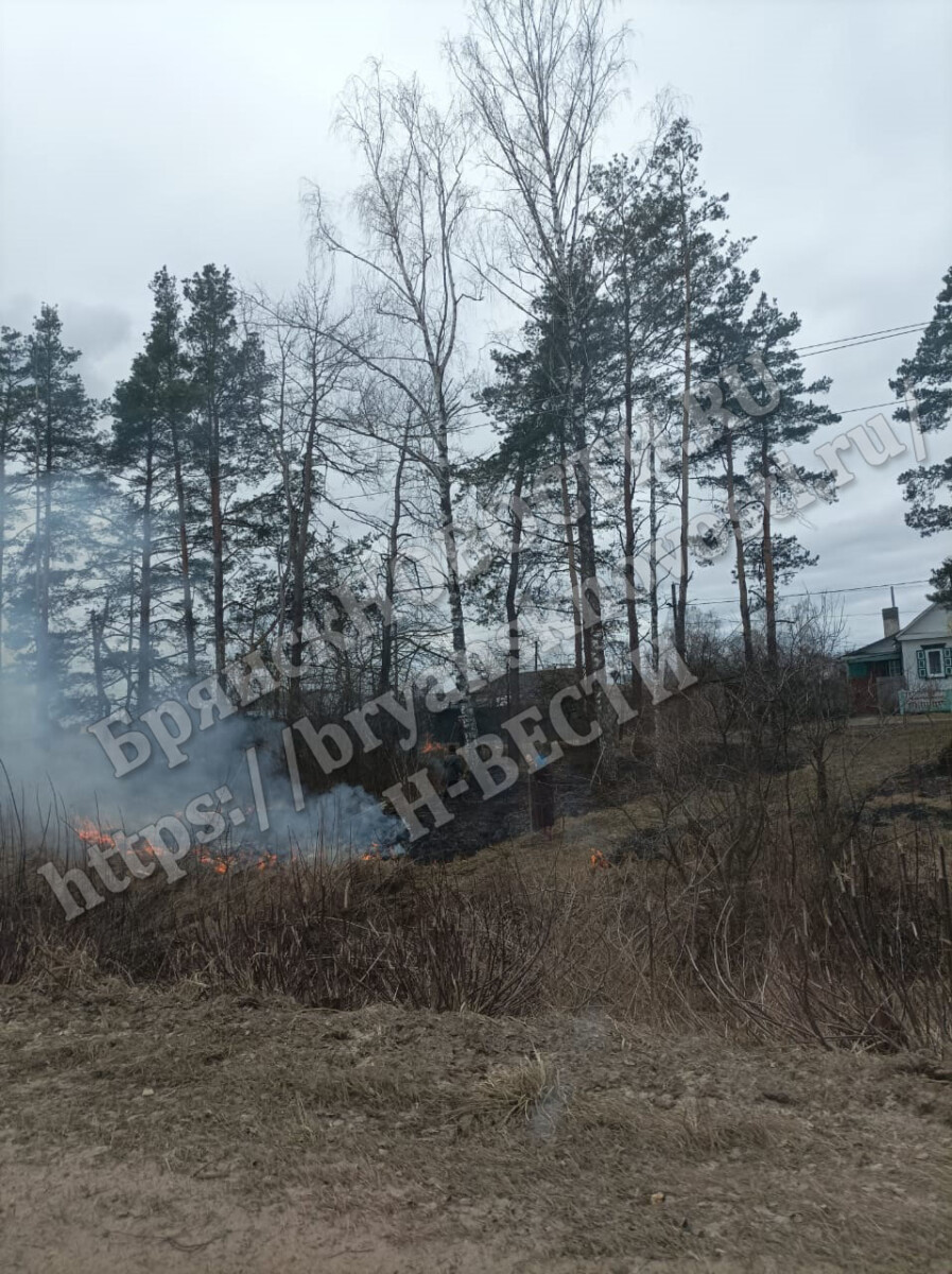 На территории всей Брянской области ввели особый противопожарный режим