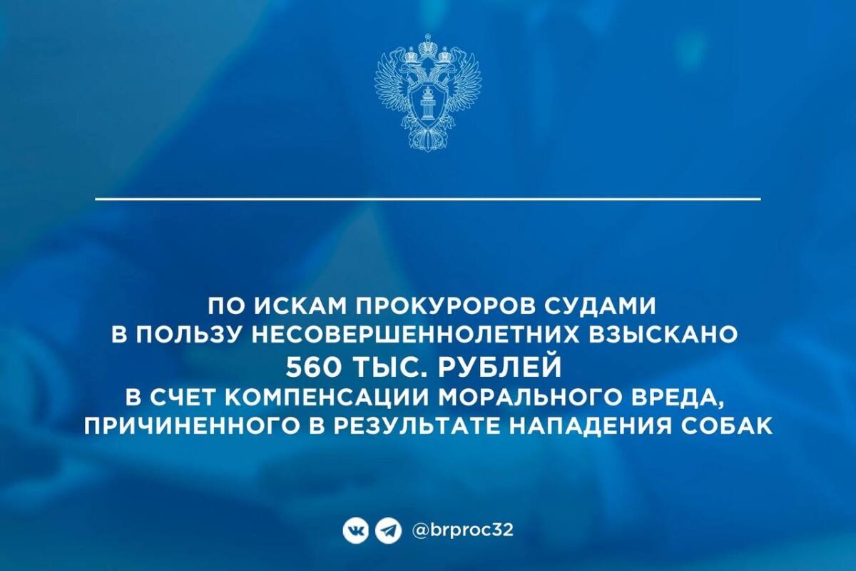 Пострадавшим от укусов бродячих псов в Брянской области выплатили более полумиллиона рублей