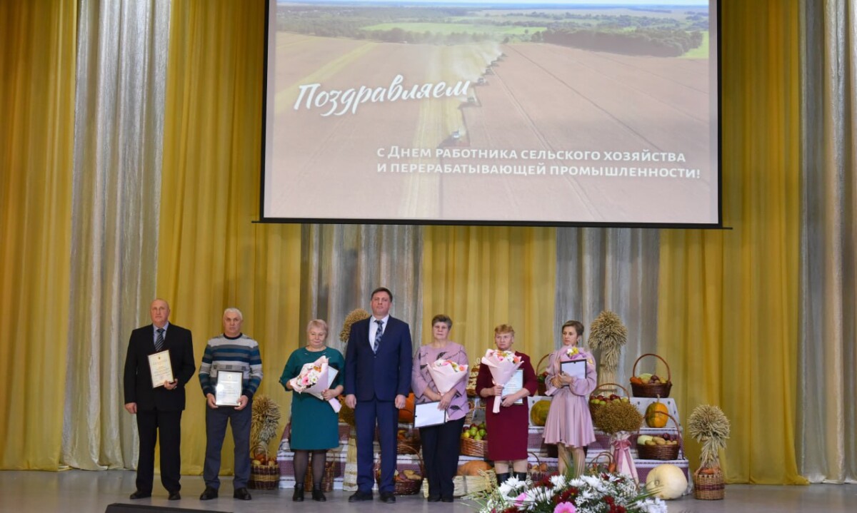 Урожай собран, площади под новый засеяны в Новозыбковском округе