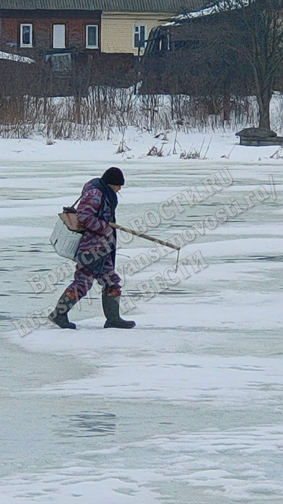 Установлены периоды лова для водных объектов Брянской области