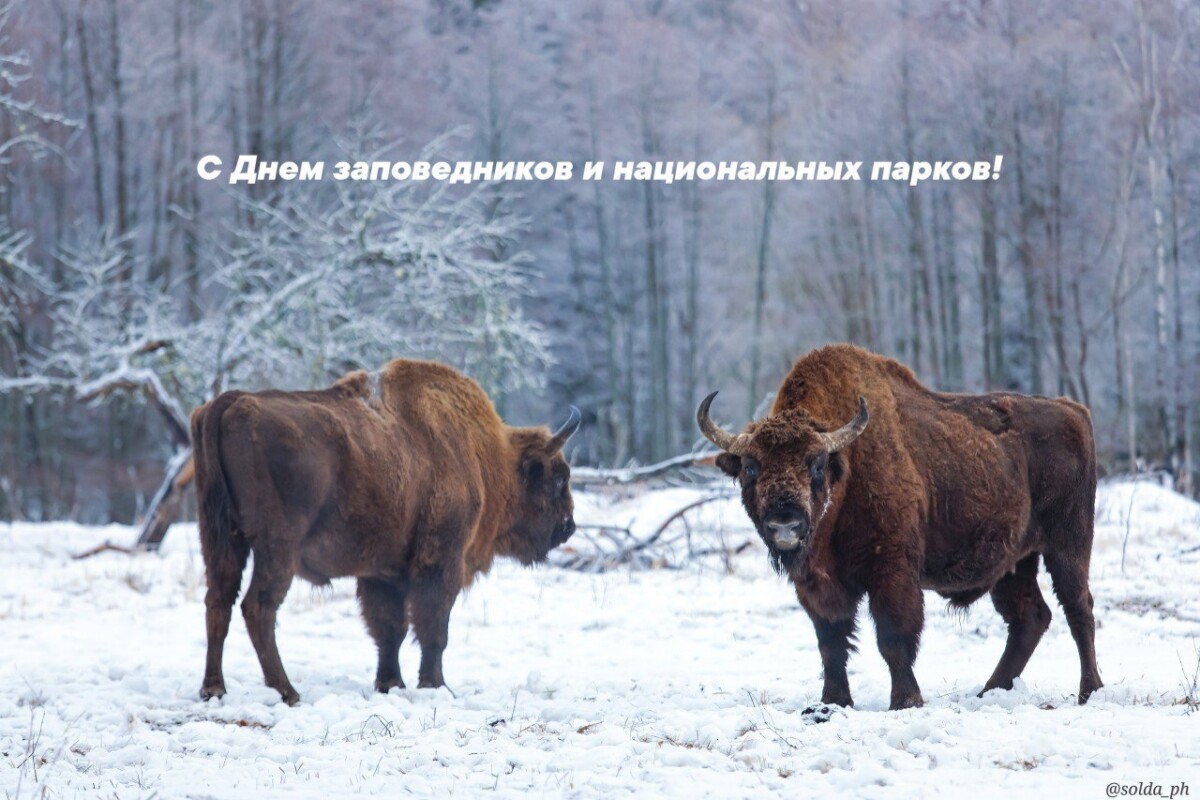 Тысячи экотуристов побывали в «Брянском лесу»