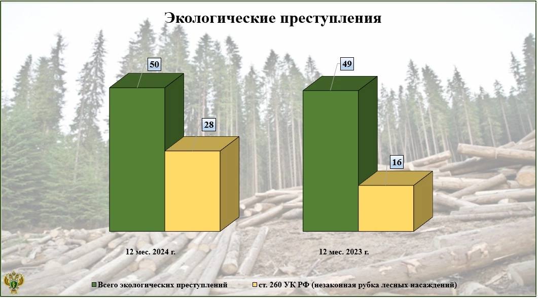 Пятьдесят экологических преступлений выявлено в 2024 году в Брянской области