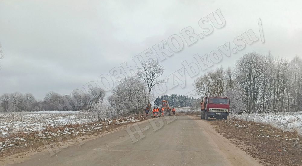 В Новозыбковском районе вдоль трасс ведут обрезку деревьев