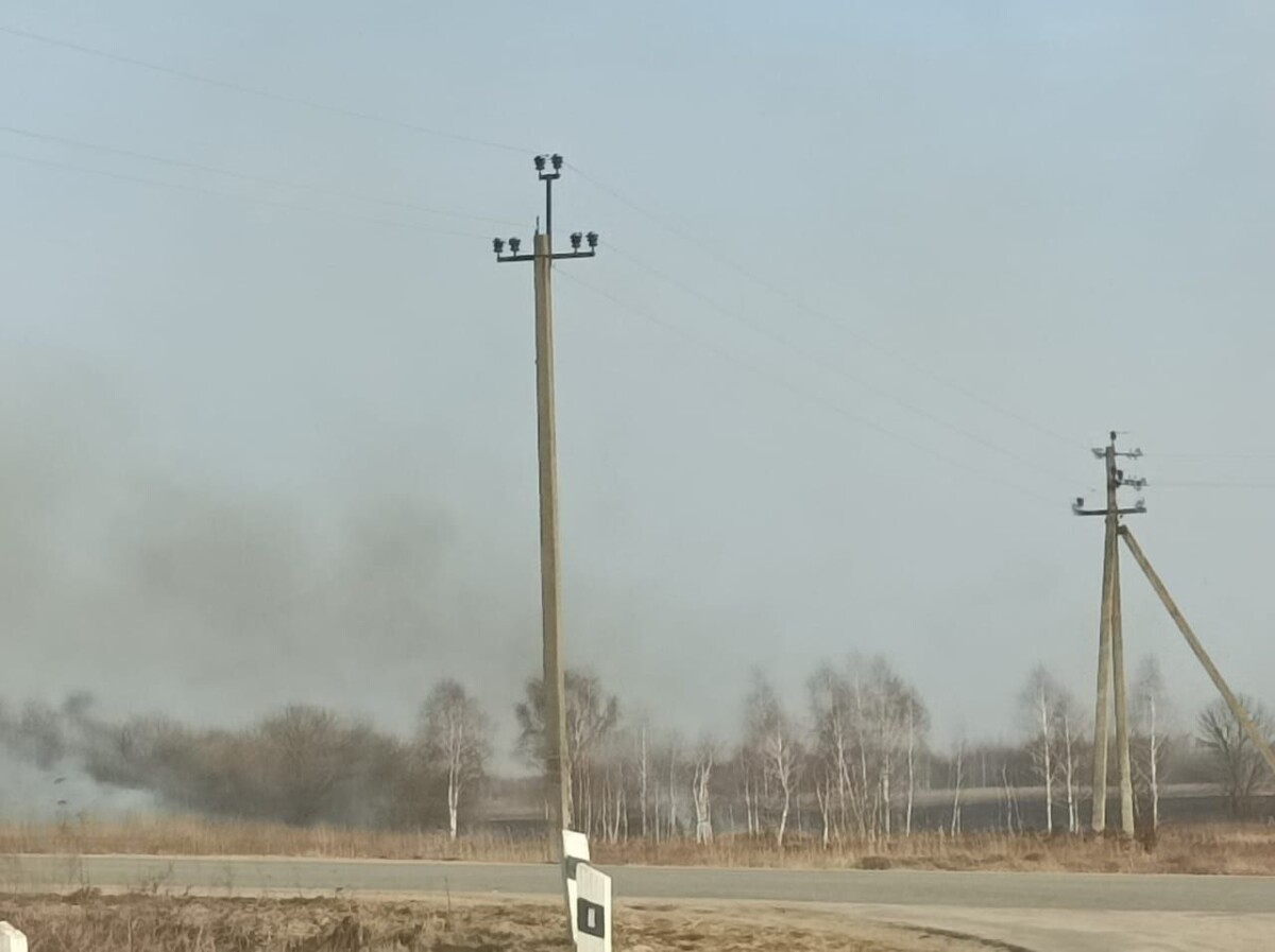 Стерня горит на поле за кладбищем в Новозыбкове