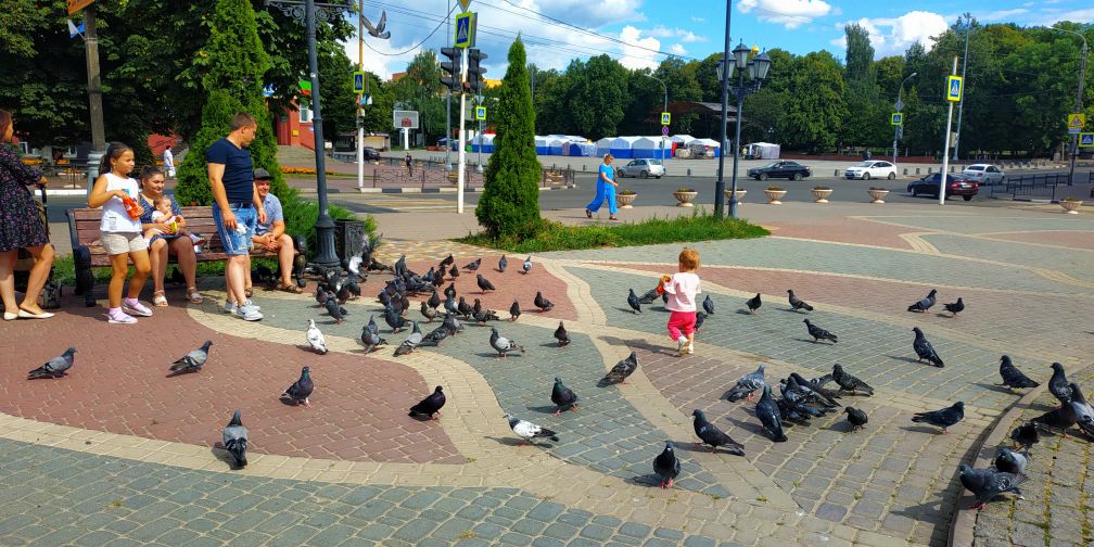 Завтра в Брянской области стартует приём заявок в летние загородные лагеря