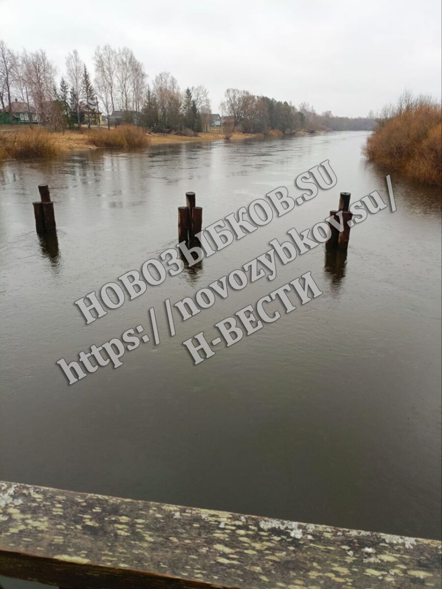 На реке Ипуть в Новозыбковском округе вода поднялась на несколько сантиметров