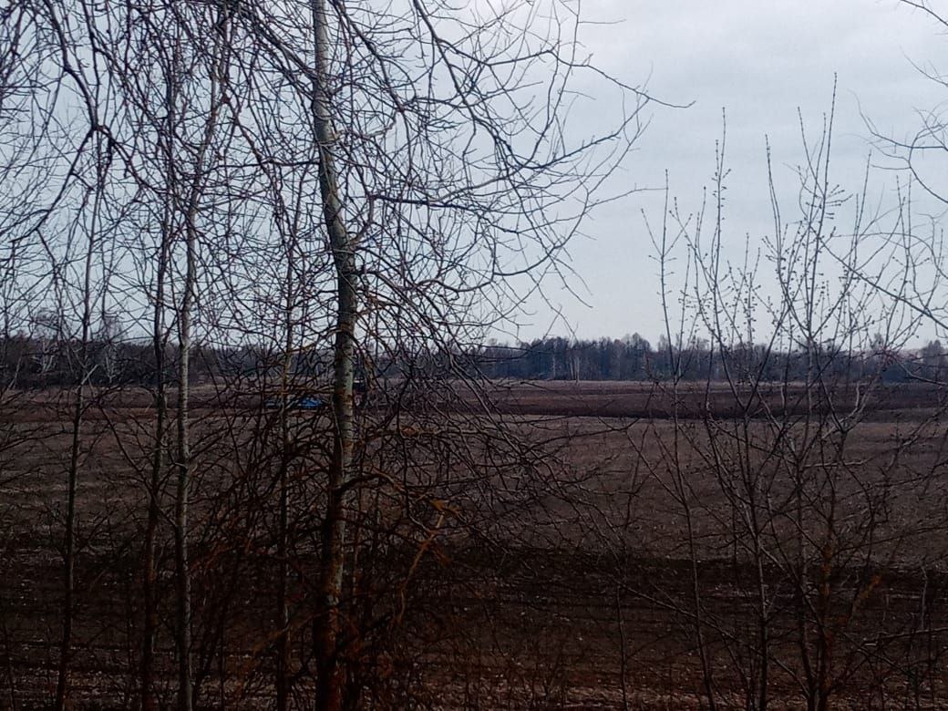 Непогода завтра в Брянской области