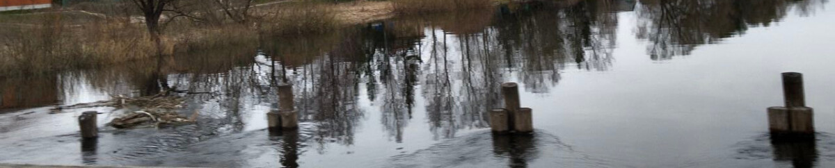 Уровень воды повышается в Десне, растет количество затопленных участков в Брянской области