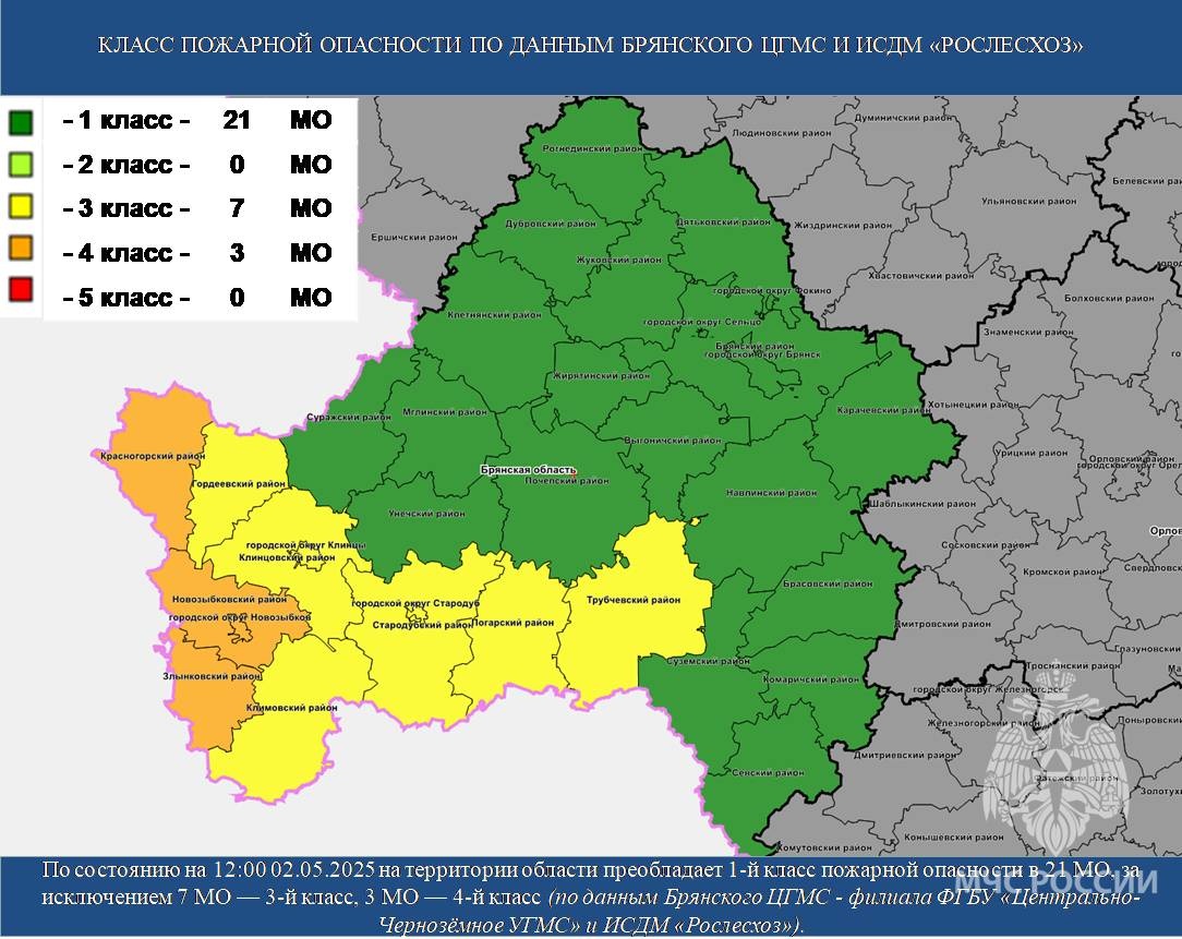 В Новозыбковском округе повышен класс пожарной опасности