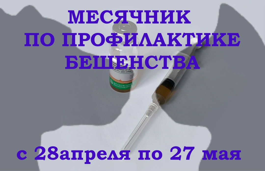 В Новозыбковском округе можно бесплатно вакцинировать собак и кошек против бешенства