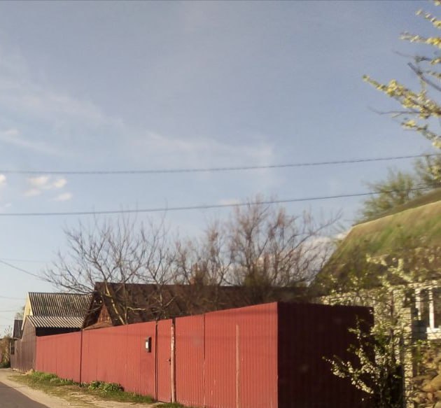 В Новозыбковском округе селянин пострадал от соседской собаки