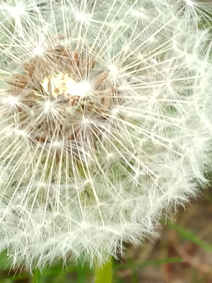 Завтра днем возможны грозы в Брянской области