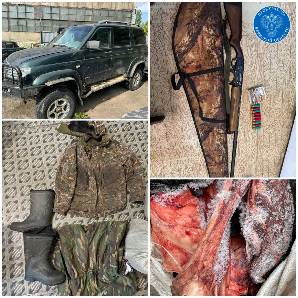 В Брянской области охота на машинах за косулями вылилась в уголовное дело