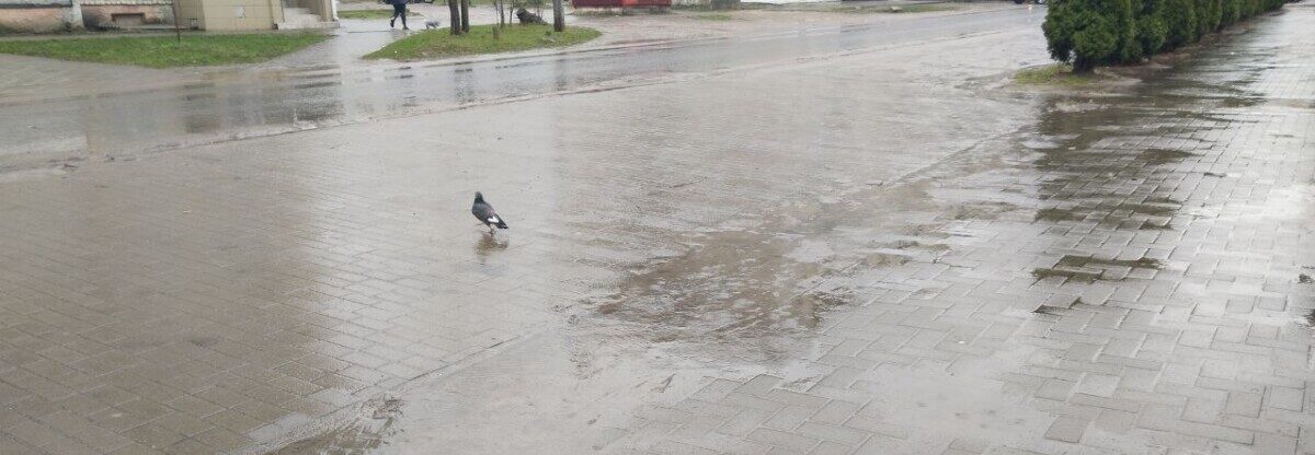 Циклон залил дождем, но в эпицентр стихии Новозыбков не попал