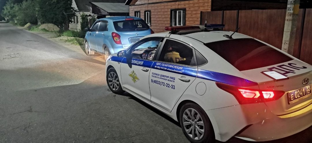 Пьяная женщина остановлена в День защиты детей в Новозыбкове