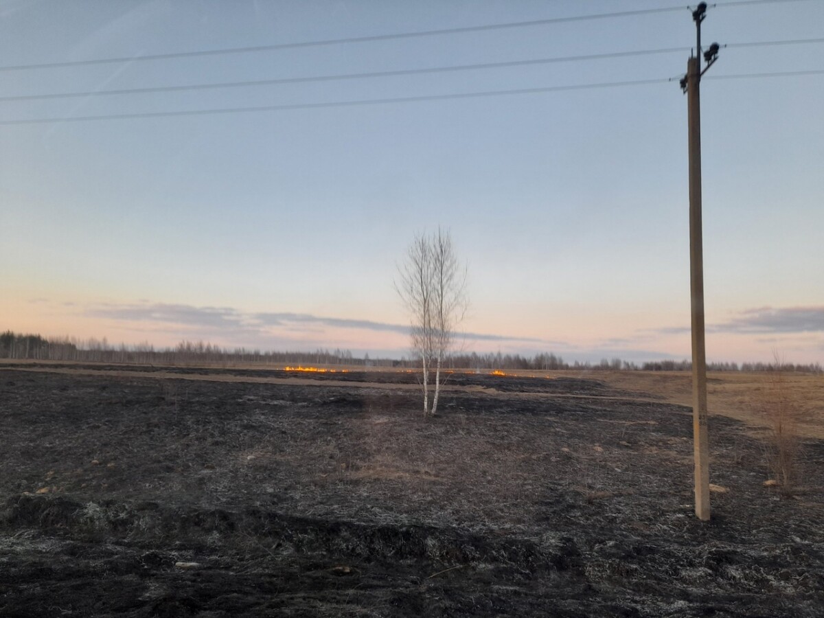 В Брянской области введены ограничения на период действия особого противопожарного режима