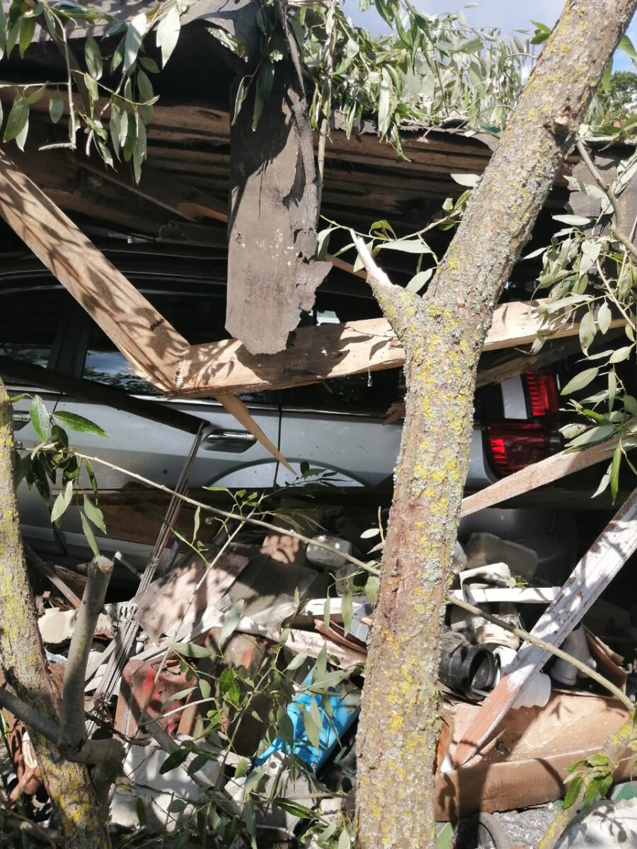 Непогода валила деревья и обрывала линии электропередач в Новозыбковском округе