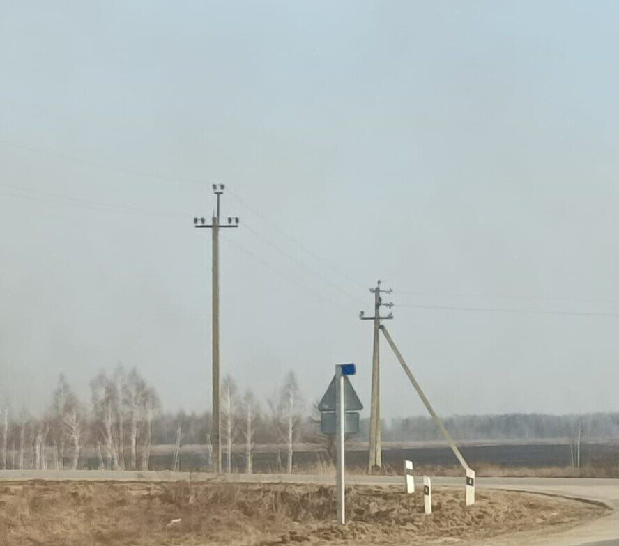 Власти Новозыбкова выделили многодетным землю без систем водо- и газоснабжения