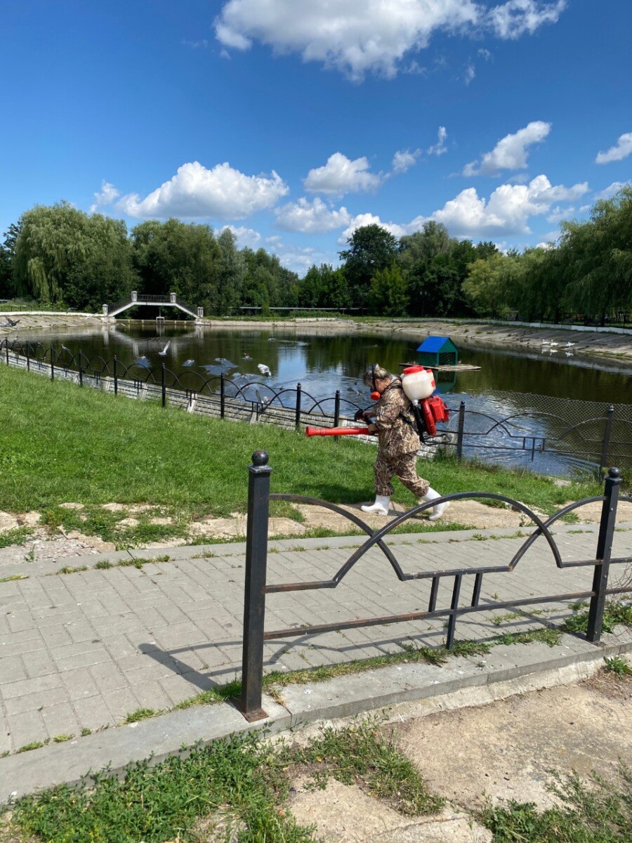Власти Новозыбкова предупредили о проведении дезинсекции в зеленых зонах