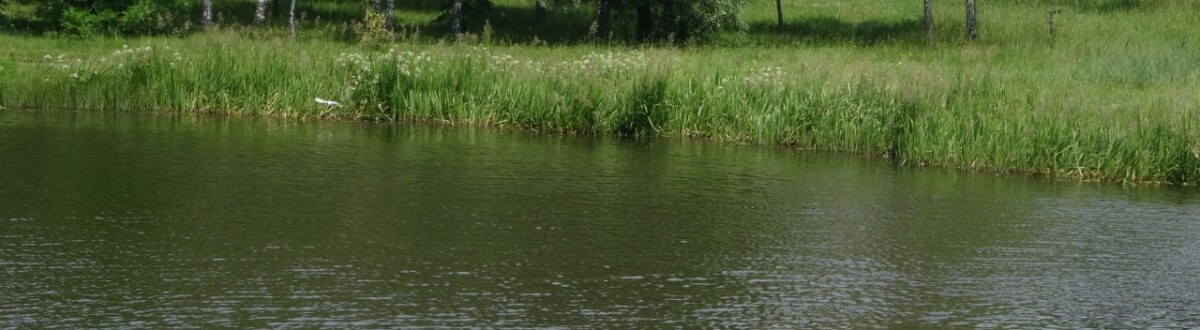 В Новозыбкове из озера достали женщину и девочку 