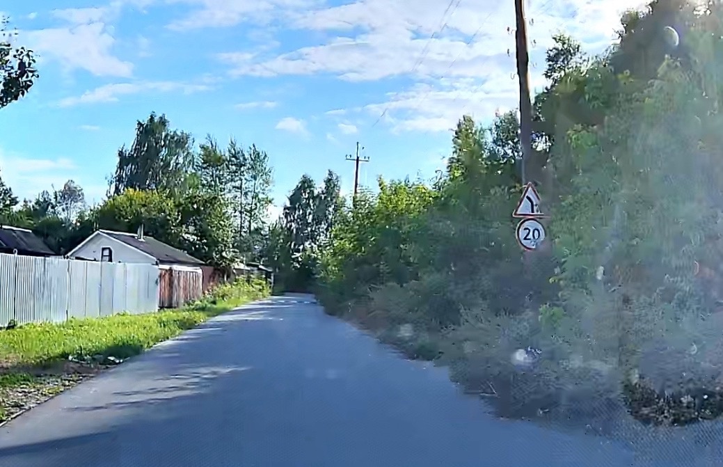 На дорогу в Новозыбкове «навалились» кусты