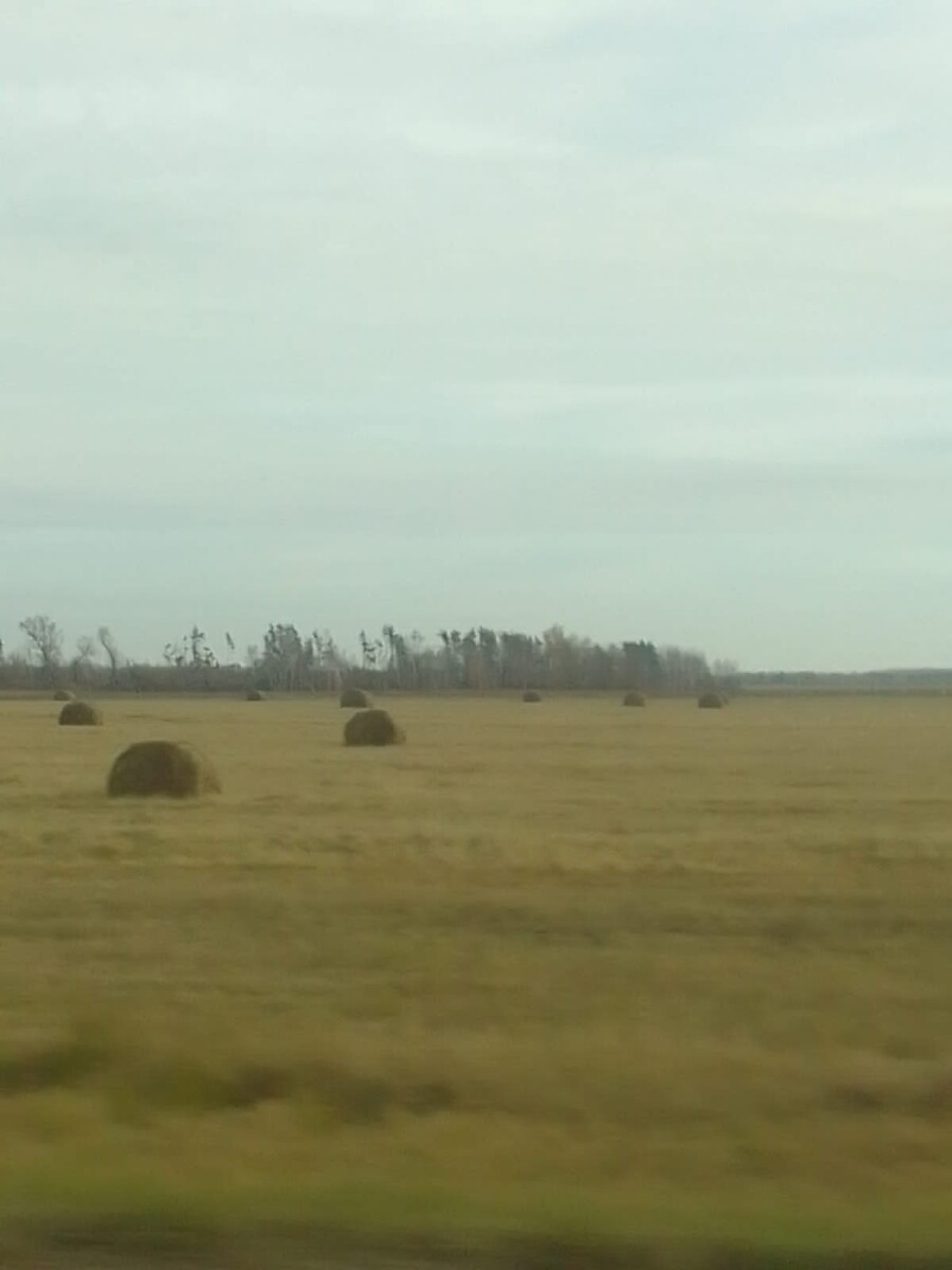 Украинские дроны атаковали агропромышленные объекты в трех районах Брянской области