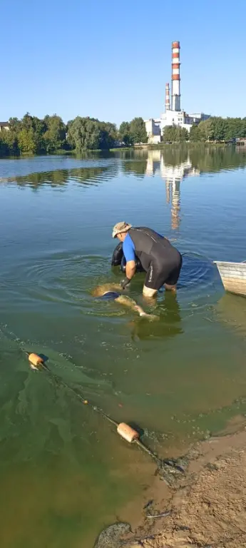 Водолазы нашли тело утонувшего в озере Стодол в Клинцах