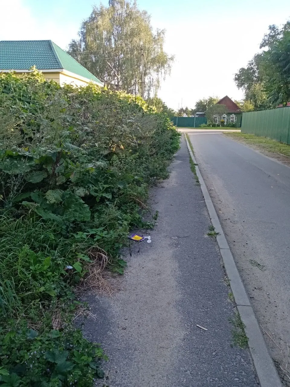 Дорожка к школе заросла бурьяном в Новозыбкове