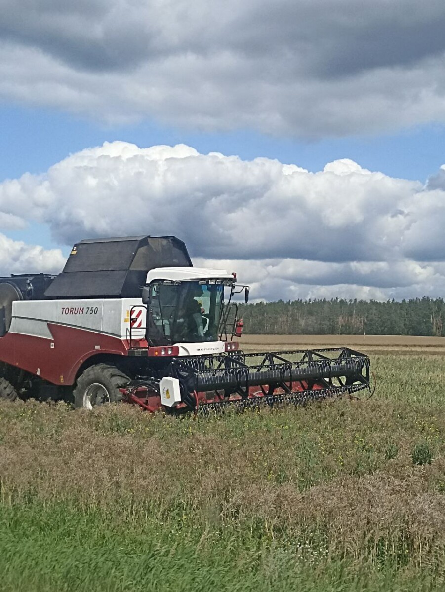 Больше половины зерновых собраны аграриями Новозыбковского округа