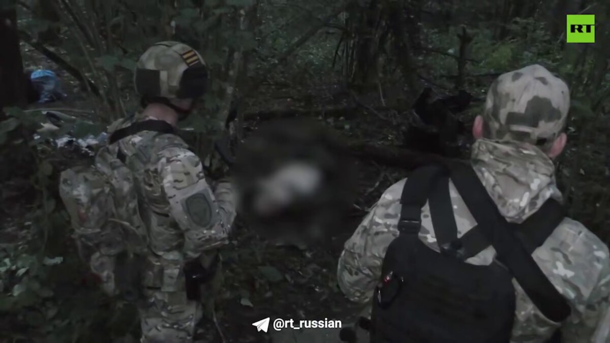 Кадры задержания членов украинской ДРГ, выявленной в Брянской области