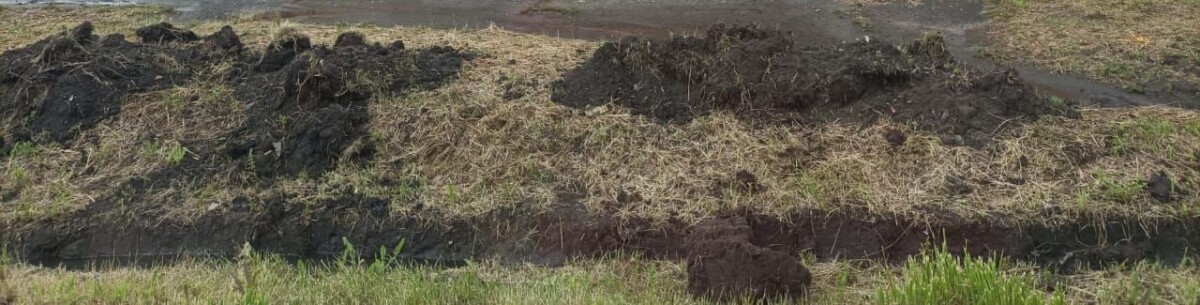 Две соседки поссорились в Новозыбкове