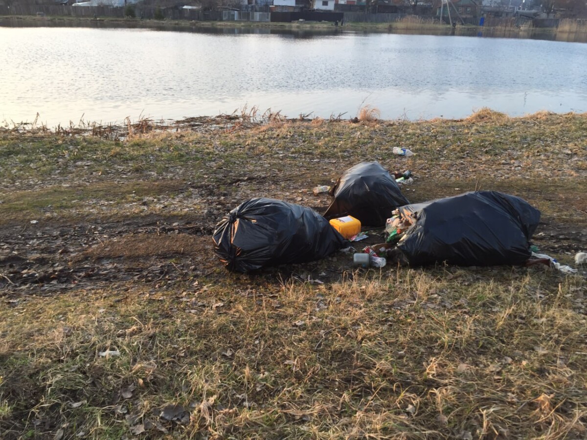 Перед осенней уборкой жителям Брянской области напомнили, растительные отходы не относятся к ТКО
