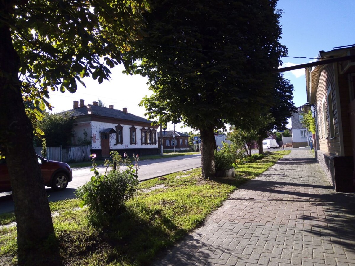 До 31 градуса тепла в последний день лета в Брянской области