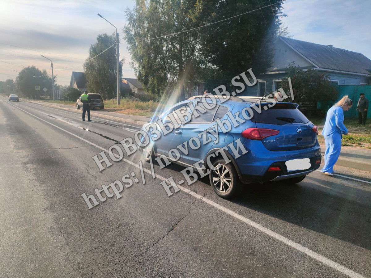 Дорожная авария в селе Новозыбковского округа