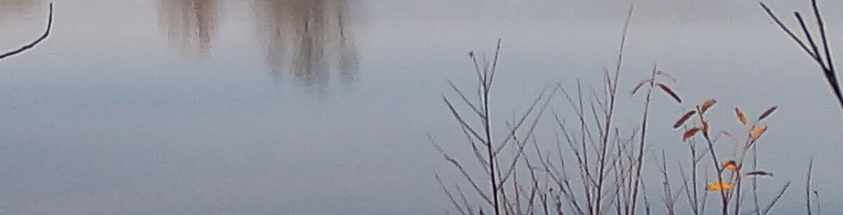 На берегу озера в Новозыбкове нашли кем-то оставленные вещи 