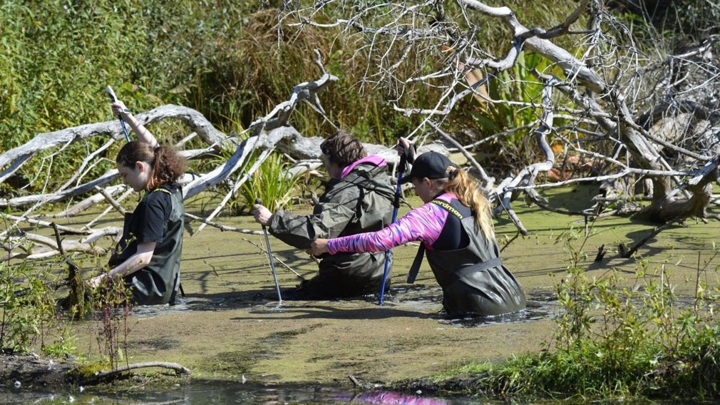В трудных условиях проходит учёт русской выхухоли на Брянщине 