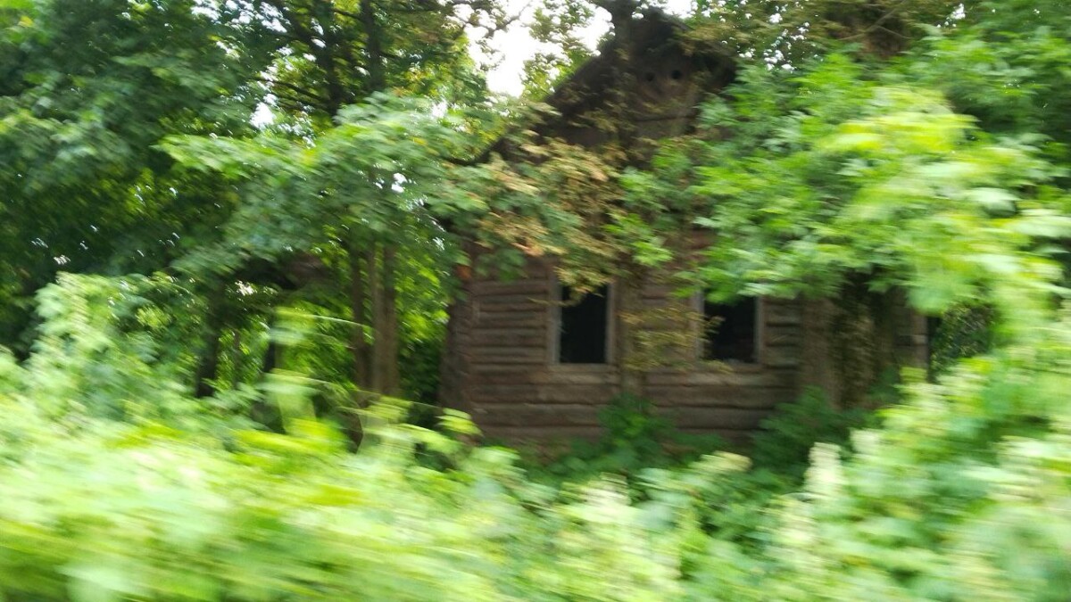 В Новозыбкове люди боятся соседства с заброшенным домом