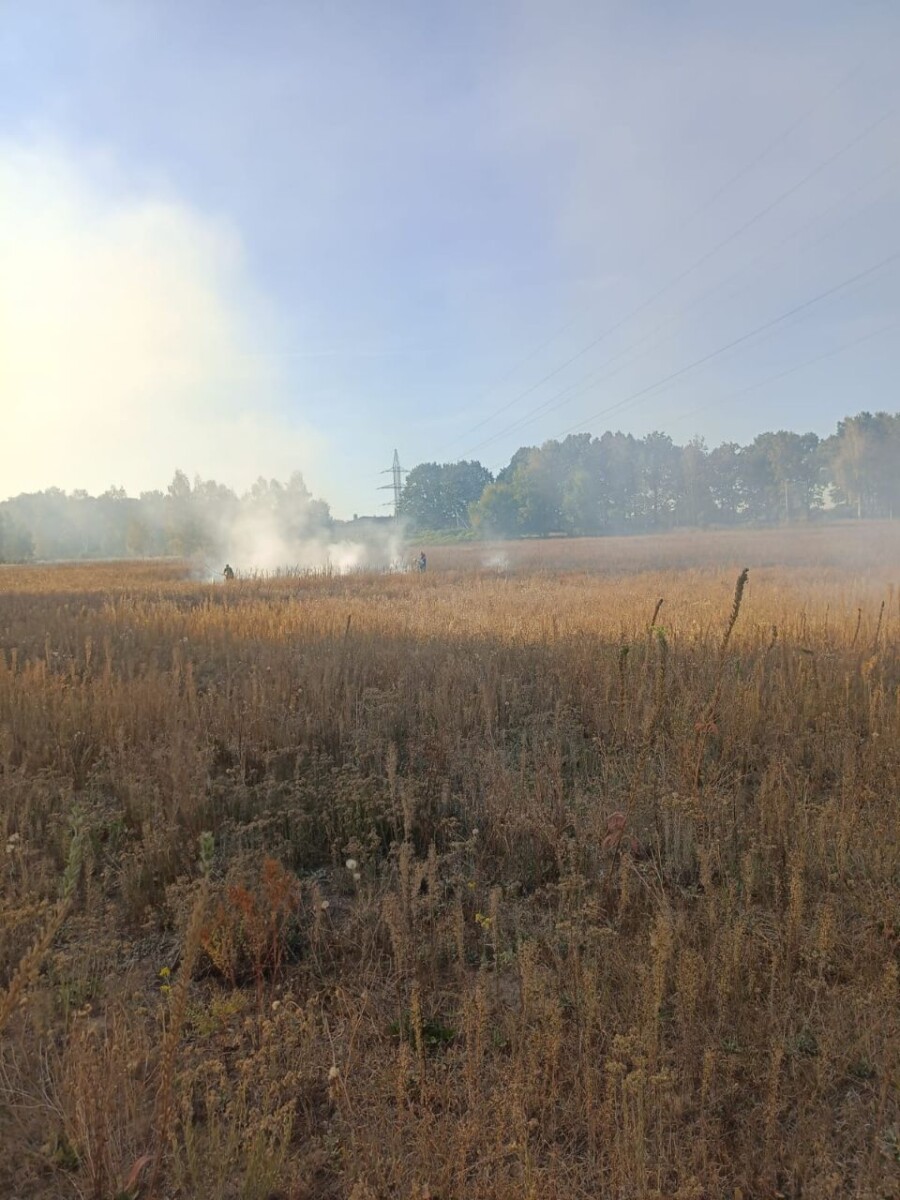 Под Новозыбковом Брянской области сгорело сено