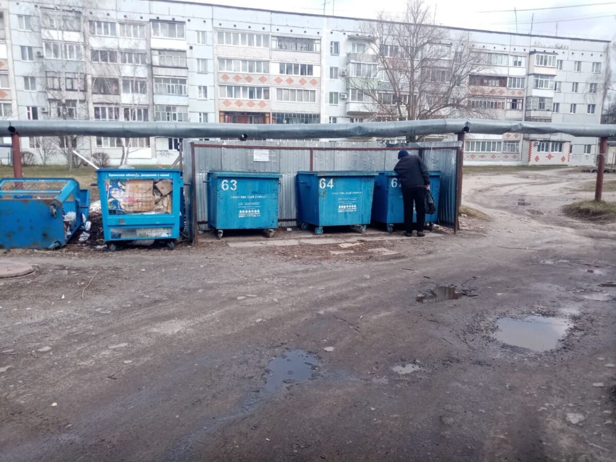 Дорогая «Экология» в Брянской области