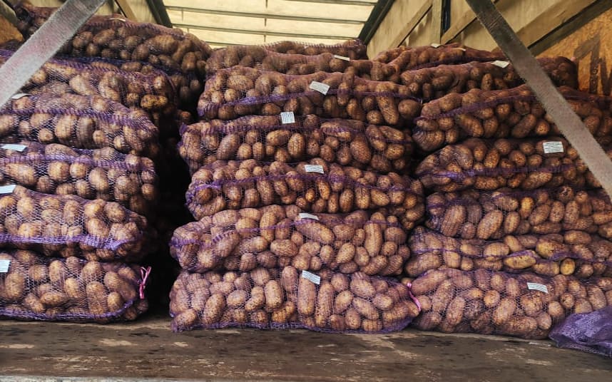 В Брянской области завернули назад картофель из Республики Беларусь