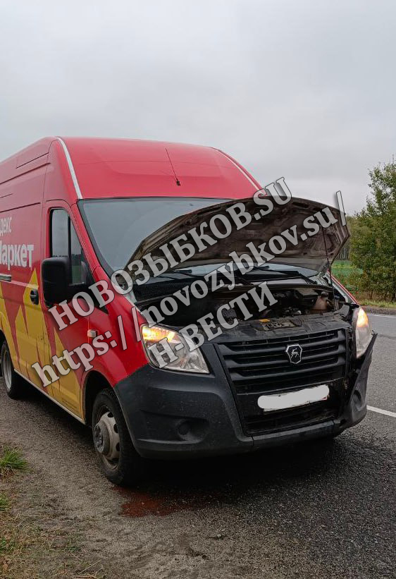 Коза скрылась с места ДТП под Новозыбковом