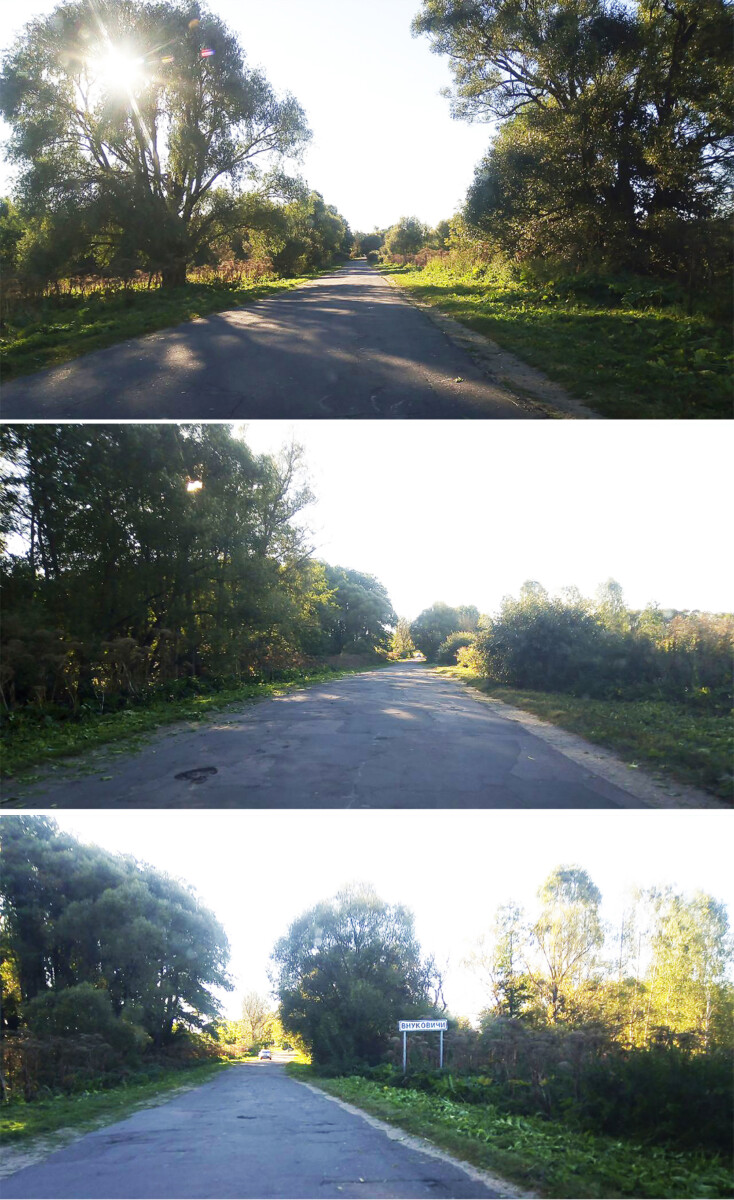 Дорога в село Внуковичи в Новозыбковском округе заросла борщевиком и покрылась ямами